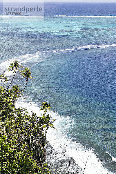 Luftaufnahme von Wellen  die sich am Riff und tropischen Palmen brechen  Samoa