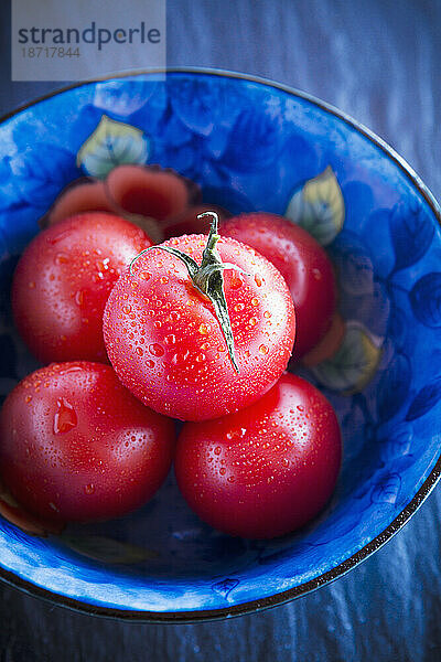Draufsicht auf frische Tomaten in einer blauen Schüssel