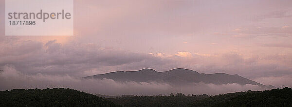 Nebel- und Sonnenuntergangsfarben  Tsitsikamma Forest  Plettenberg Bay  Garden Route  Westkap  Südafrika