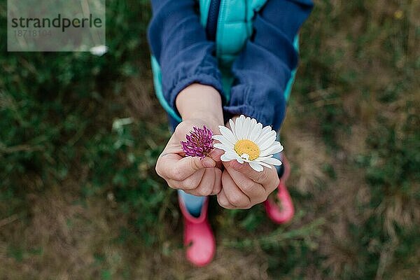 ein Kind  das Blumen in der Hand hält  um es jemandem zu zeigen