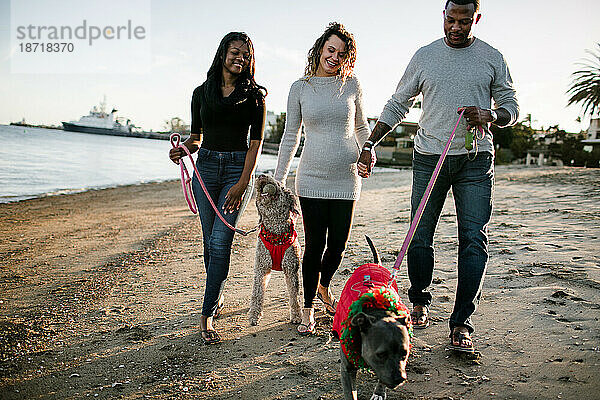 Gemischte Familie  die bei Sonnenuntergang mit Hunden am Strand spazieren geht