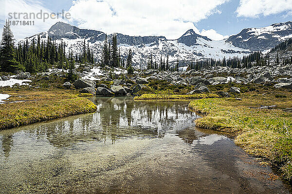 Ein Bach fließt durch eine alpine Bergwiese in British Columbia.