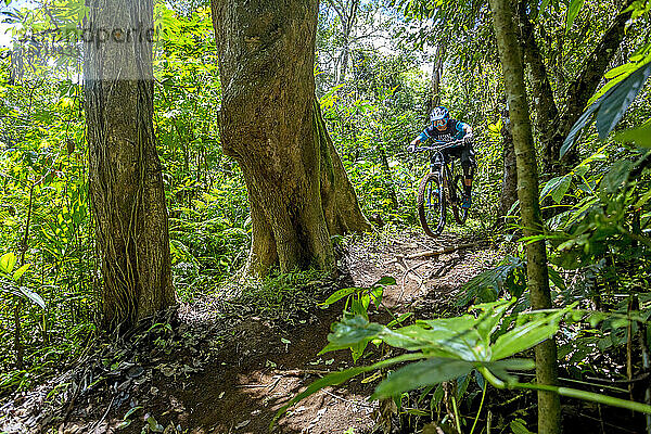 Mountainbiker fahren im Regenwald von Bali  Indonesien