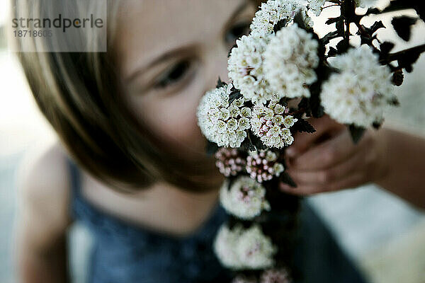 Ein junges Mädchen riecht Blumen in New Town  Missouri.