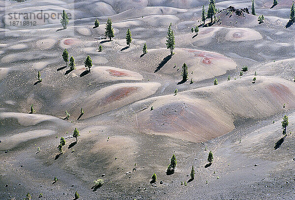 Blick aus der Vogelperspektive auf die Painted Dunes und Pinien im Lassen-Nationalpark  Kalifornien.