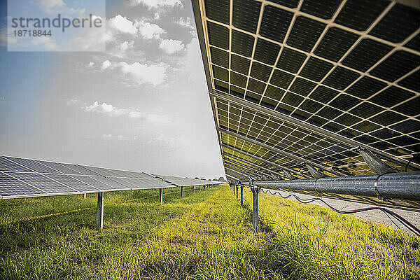 Solarpark im Osten von Texas
