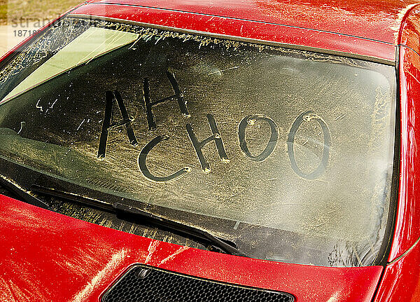 Die Worte „Ah Choo“ geschrieben in Kiefernpollen auf der Windschutzscheibe eines Autos.