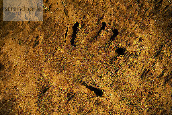 Die Form einer Hand  die im Sand der Wüste Wadi Rum  Jordanien  steckt.