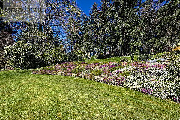 Wunderschöner Kubota-Garten in Seattle