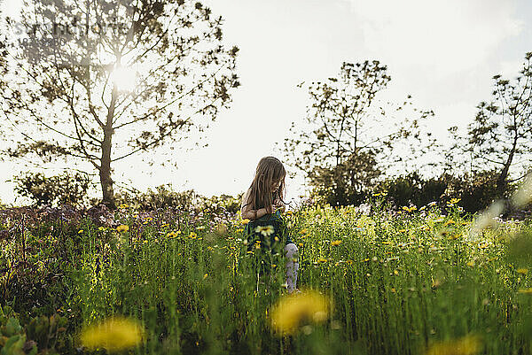 Landschaft mit einem kleinen Mädchen  das in ein Feld voller Frühlingsblumen blickt