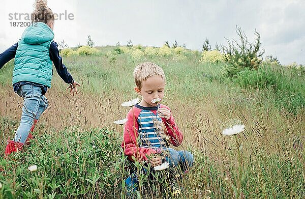 Ein kleiner Junge  der mit seiner Schwester auf einem Feld Gänseblümchen riecht