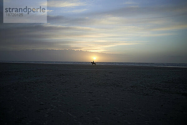 Atemberaubende Silhouette einer Person  die bei Sonnenuntergang am Strand reitet