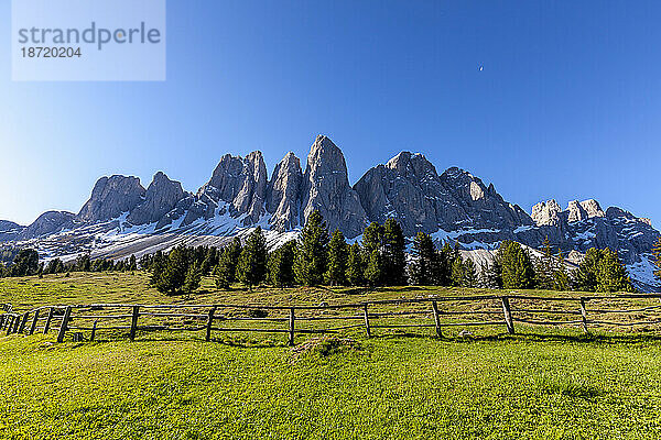 Geisler aus grünen Wiesen der Glatschalm  Dolomiten  Villnöss  Südtirol