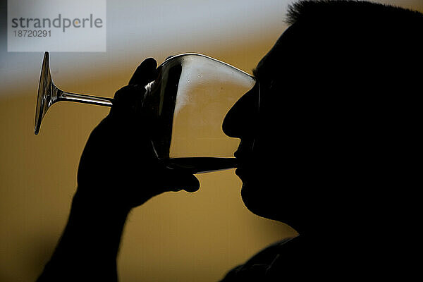Ein Mann trinkt ein Glas Rotwein im Weingut Taramilla in Prado del Rey  Provinz Cádiz  Andalusien  Spanien.