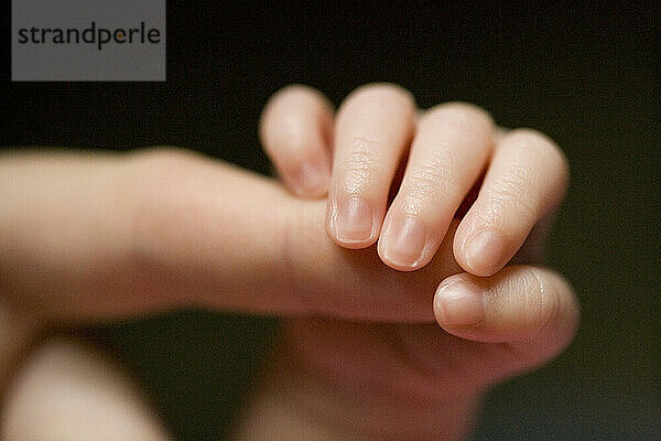 Die Hand eines Neugeborenen ergreift den Finger seiner Mutter