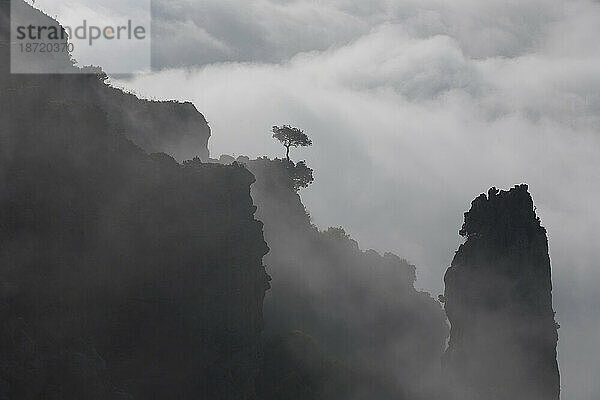 Morgennebel bedeckt den Nationalpark Sierra de Grazalema in der Nähe von Grazalema  Provinz Cádiz  Andalusien  Spanien.