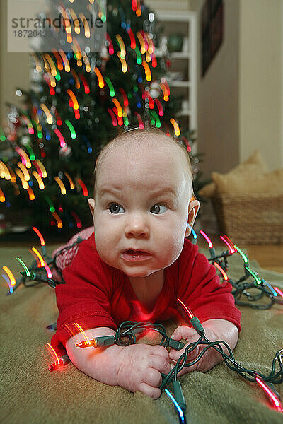 Ein Baby spielt mit Weihnachtslichtern für ein Weihnachtskartenporträt.