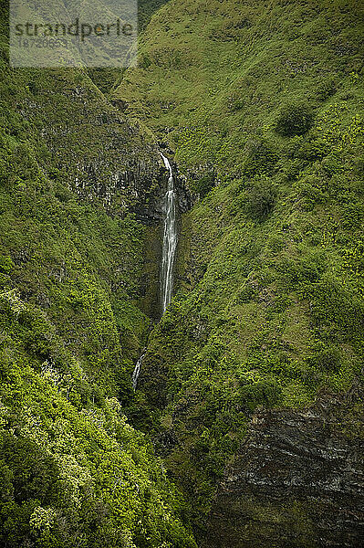 Ein Wasser fällt die Klippe eines Berges in Maui  Hawaii  hinunter.