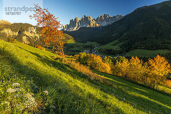 Herbstlicher Sonnenuntergang auf St. Magdalena und der Geisler  Villnöss  Südtirol