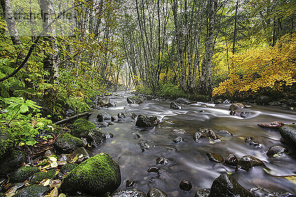 Hood River Oregon Herbst Creekside