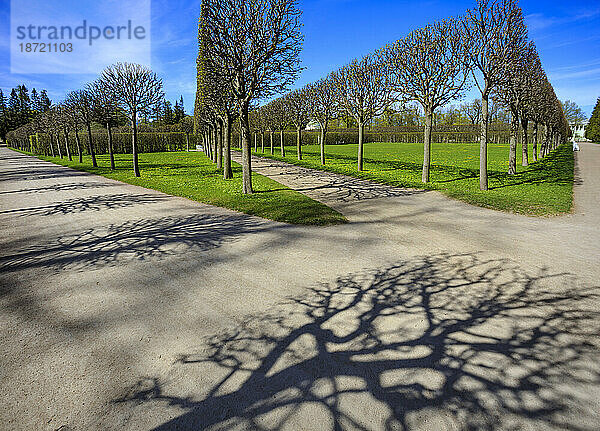 Katharinenpark  Puschkin  St. Petersburg  Russland