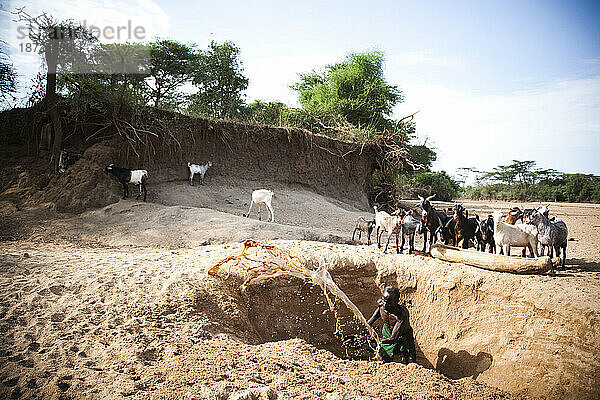 Ein älterer Hamer-Mann gräbt ein Loch in das ausgetrocknete Flussbett  um seinen Ziegen Zugang zu schlammigem Wasser zu verschaffen.