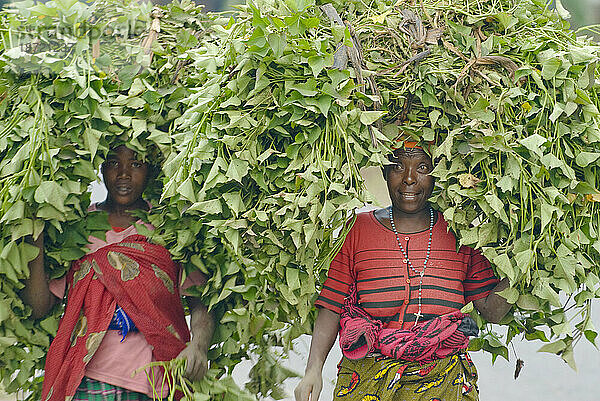 Frauen tragen Getreide auf der Straße von Gisenyi nach Mutobo  Ruanda