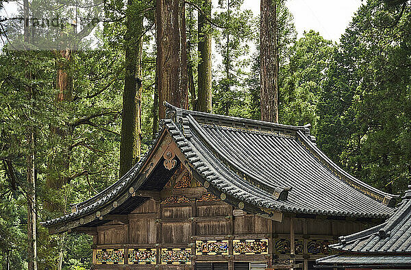 Nikko Toshogu-Schrein-Tempel in Nikko im Frühling  Japan