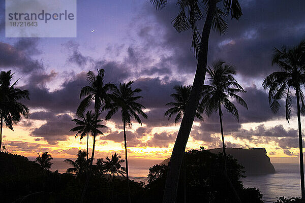 Bunter Sonnenaufgang und Silhouette von Palmen am Strand in Samoa.