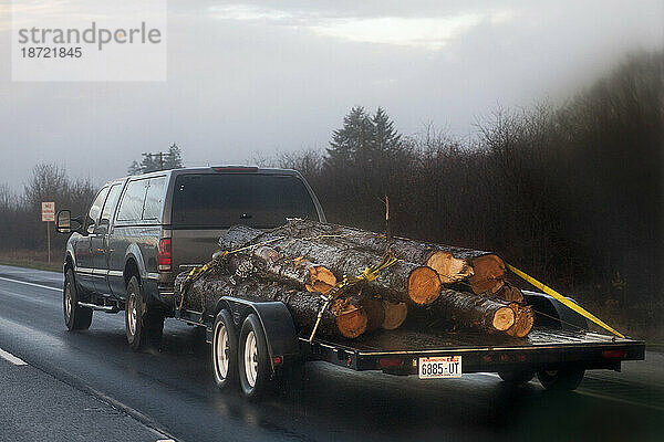 Ein großer Lastwagen transportiert mehrere gefällte Bäume auf einem Anhänger auf der Autobahn in der Nähe von Seattle  Washington.