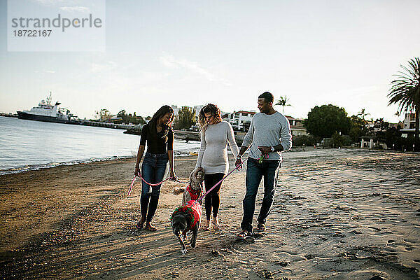 Patchwork-Familie mit Hunden geht bei Sonnenuntergang am Strand spazieren