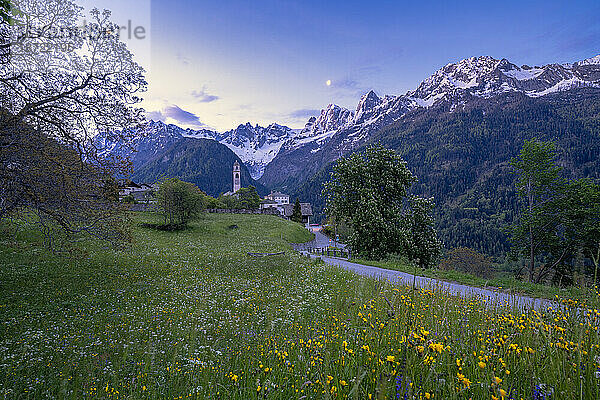 Abenddämmerung über blühenden Wiesen  Soglio  Val Bregaglia  Schweiz