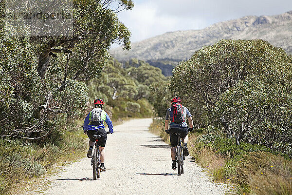 Mountainbiker radeln auf dem Weg zum Mount Kosciousko  Australiens höchstem Gipfel  in den Snowy Mountains.