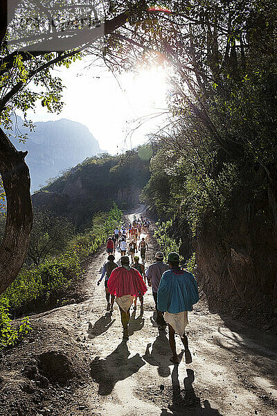 Läufer erkunden die Rennstrecke vor dem Copper Canyon Ultra Marathon 2010.