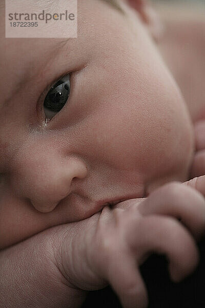 Porträts eines Neugeborenen