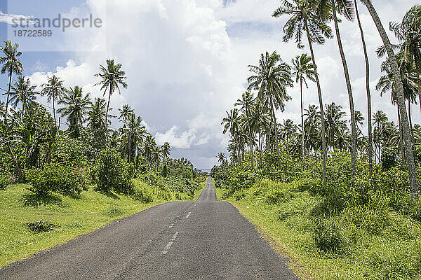 Einsame Straße in Samoa  die eine Kokosnussplantage durchquert