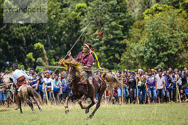 Männer konkurrieren beim Pasola Festival  Insel Sumba  Indonesien