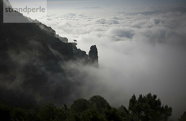 Morgennebel bedeckt den Nationalpark Sierra de Grazalema in der Nähe von Grazalema  Provinz Cádiz  Andalusien  Spanien.