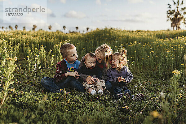 Vier Geschwister lächeln einander in einer Blumenwiese vor blauem Himmel an