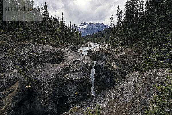 Der Mistaya River fließt durch den Mistaya Canyon im Banff Nationalpark  Alberta  Kanada