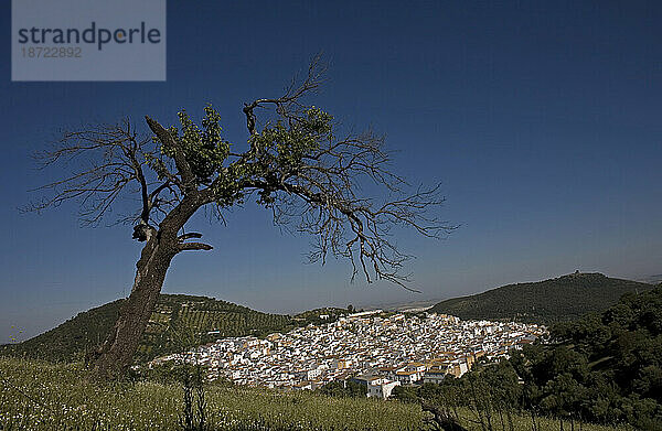 Das weiße Dorf Prado del Rey in der Provinz Cadiz  Andalusien  Spanien.
