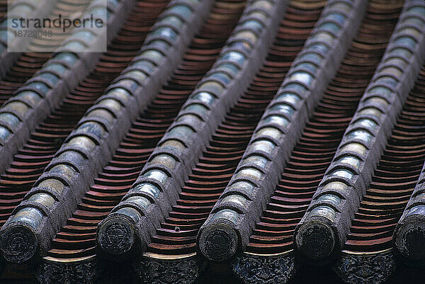 Detail des Ziegeldachs eines Tempels in Singapur.