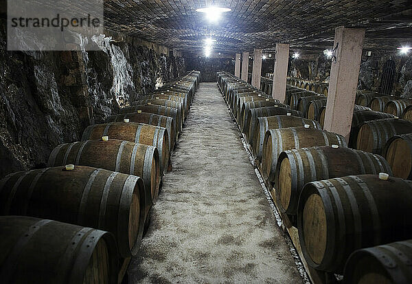 Ein Weinkeller mit Fässern  in denen Wein auf dem Weingut Cotar in der Stadt Gorjansko  Slowenien  reift.