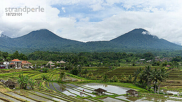 Dschungelbedeckte Berge spiegeln sich in Reisterrassen