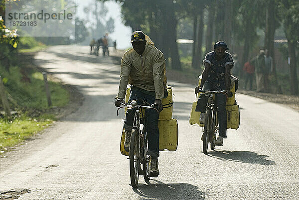 Cargo bikes on road from Gisenyi to Mutobo  Rwanda