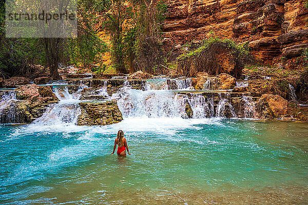 Frau schwimmt im Havasu Creek
