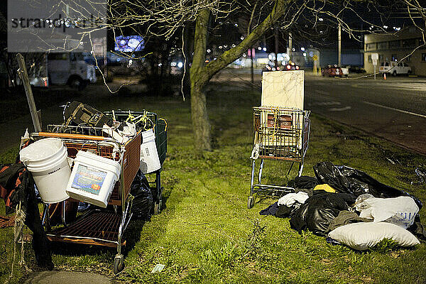 Zwei Einkaufswagen voller Habseligkeiten eines Obdachlosen stehen auf einem grasbewachsenen Gehweg in einem Industrieviertel von Seattle  Washington.