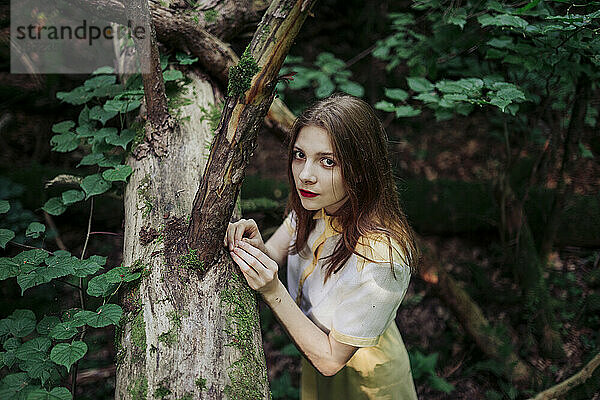 Frau steht neben einem umgestürzten Baum im Wald