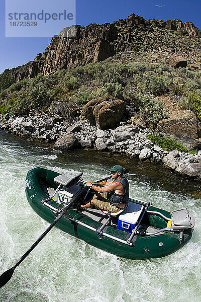 An einem schönen Sommertag überquert Male den Teton River. Basaltgipfel im Hintergrund und schnelles Wasser sorgen für ein schönes Schwimmerlebnis.