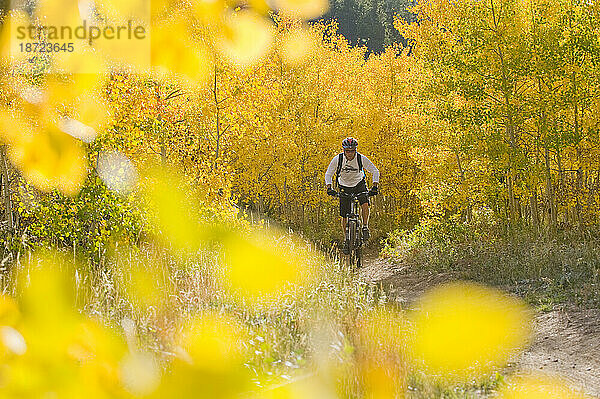 Mountainbiker fährt durch ein Fenster aus Singletrails und gelben Blättern.